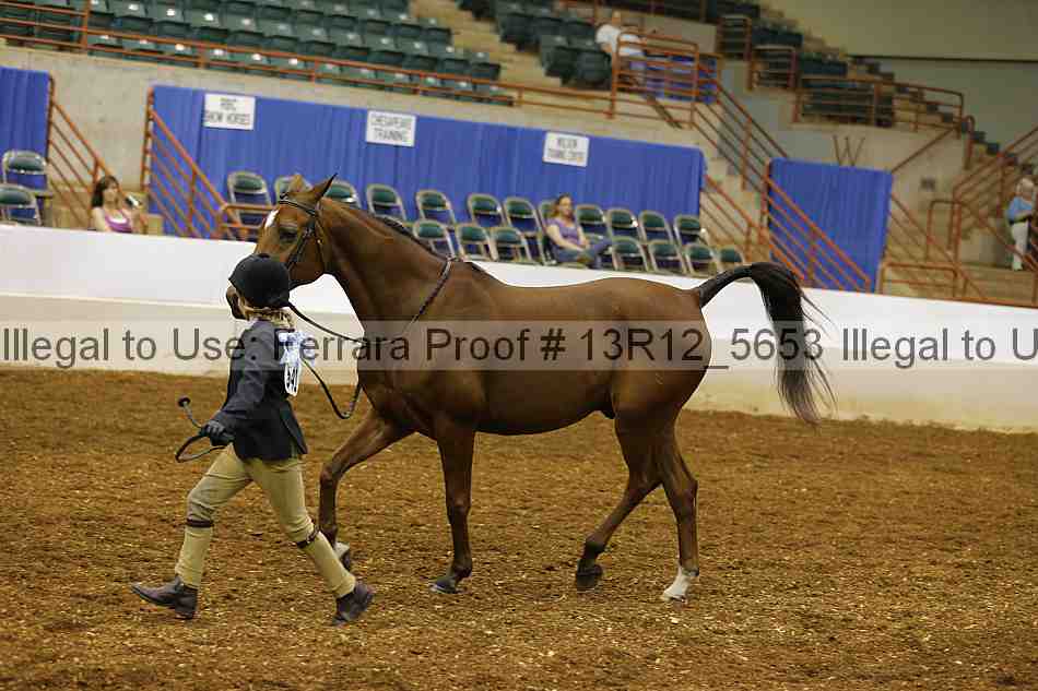 Proof 13r12_5653