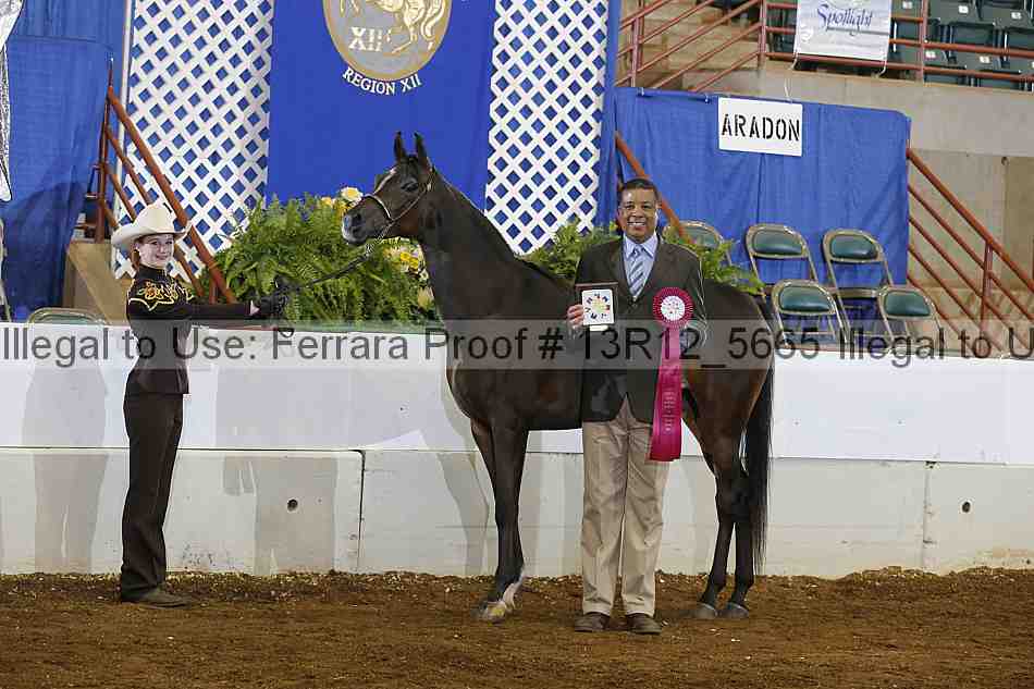 Proof 13r12_5665