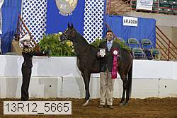 13r12_5665 proof