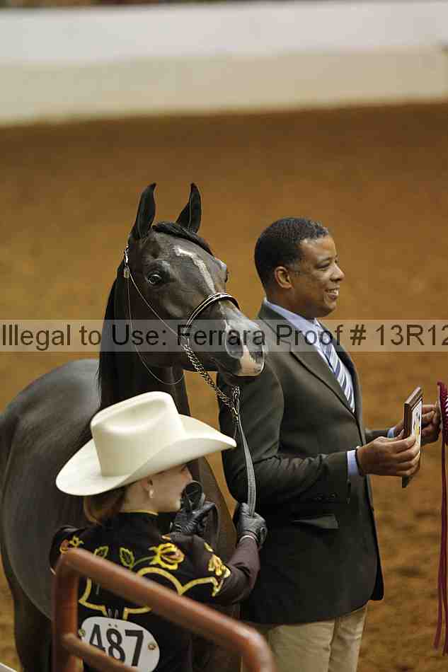 Proof 13r12_5667