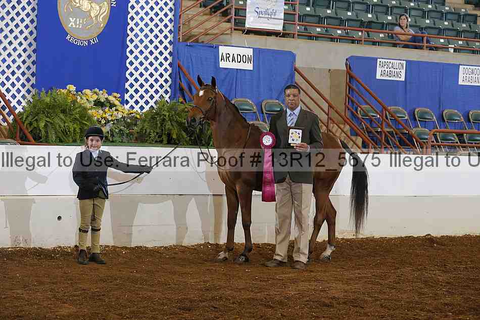 Proof 13r12_5675