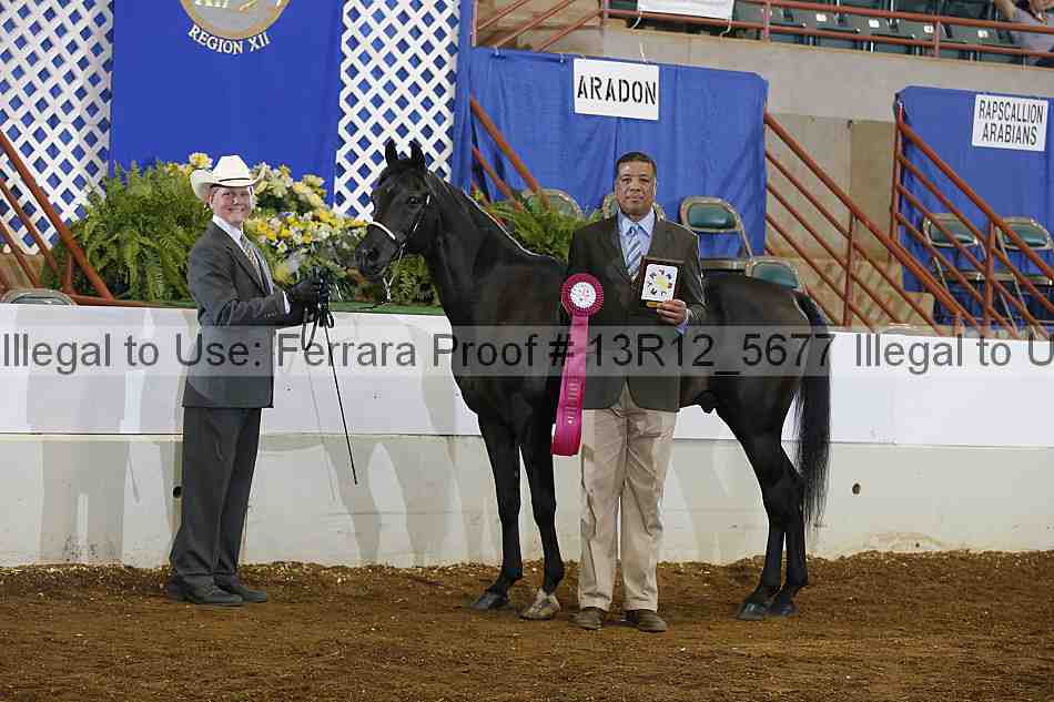 Proof 13r12_5677