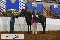 13r12_5678 proof