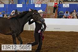 13r12_5685 proof