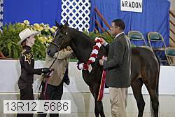 13r12_5686 proof