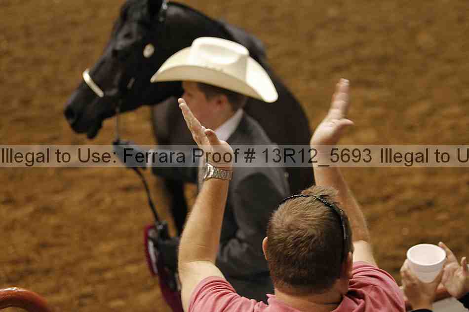 Proof 13r12_5693
