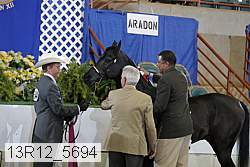 13r12_5694 proof