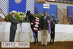 13r12_5695 proof