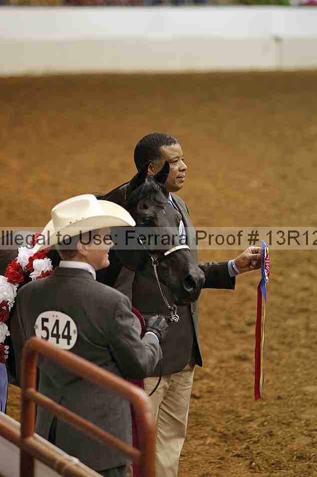 Proof 13r12_5696