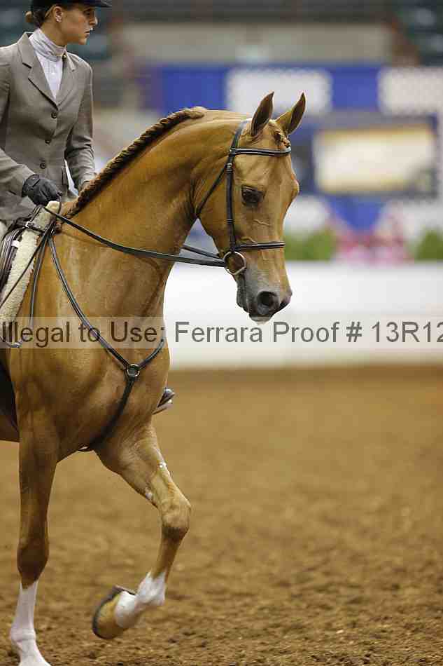 Proof 13r12_5723