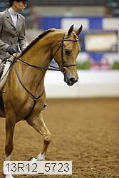 13r12_5723 proof