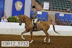 13r12_5732 proof