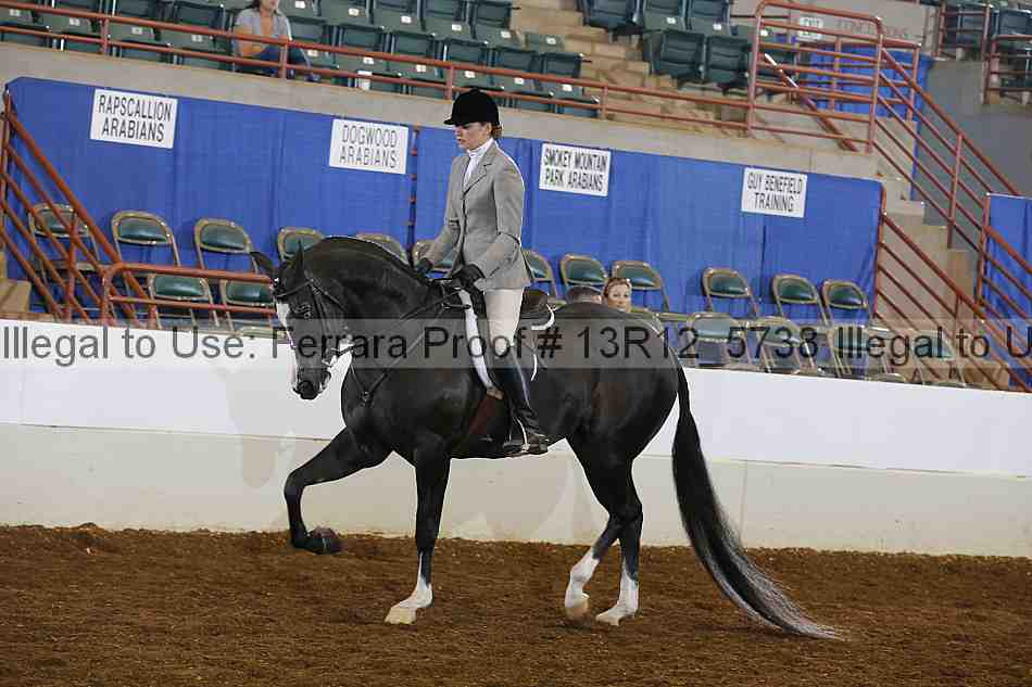 Proof 13r12_5738