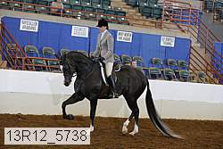 13r12_5738 proof