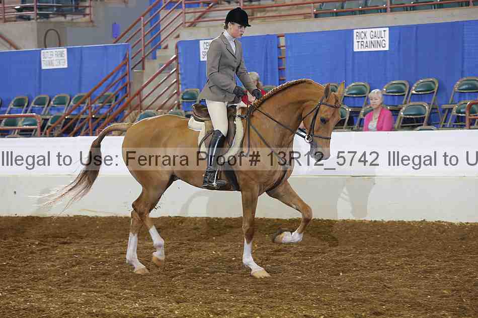 Proof 13r12_5742