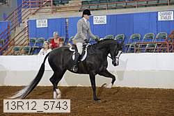 13r12_5743 proof