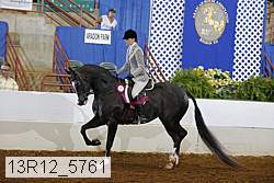 13r12_5761 proof