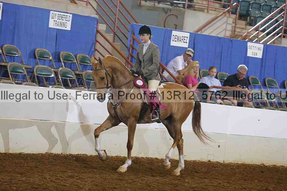 Proof 13r12_5762