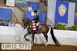 13r12_5773 proof