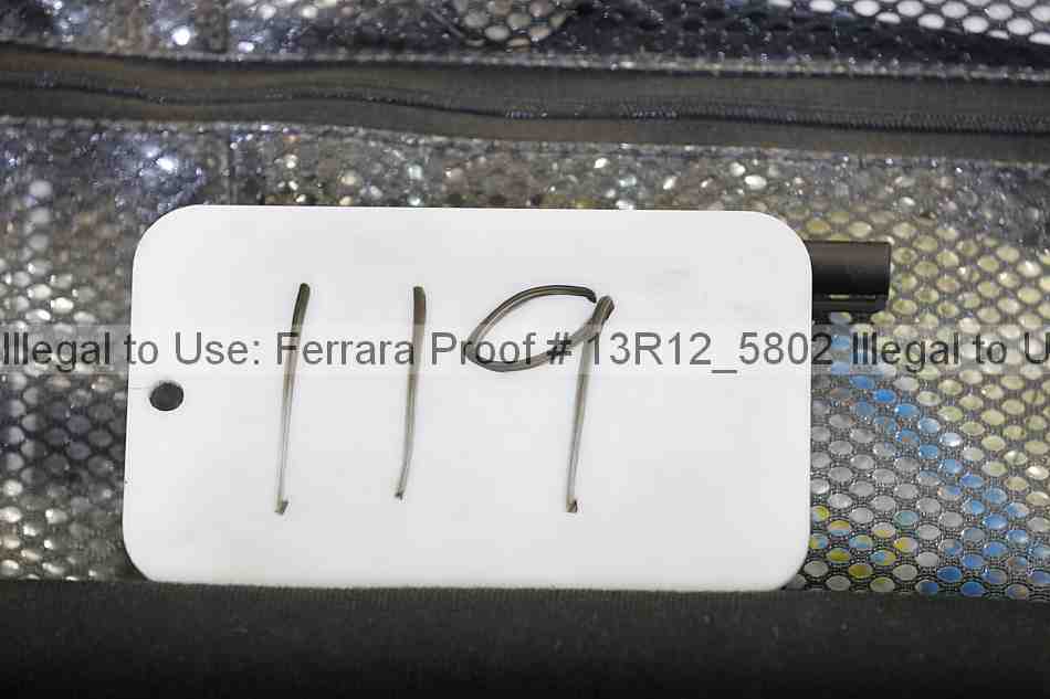 Proof 13r12_5802