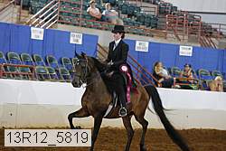 13r12_5819 proof