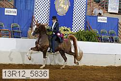 13r12_5836 proof