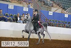 13r12_5839 proof
