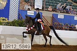 13r12_5849 proof