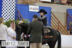 13r12_5863 proof