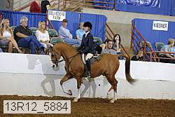 13r12_5884 proof