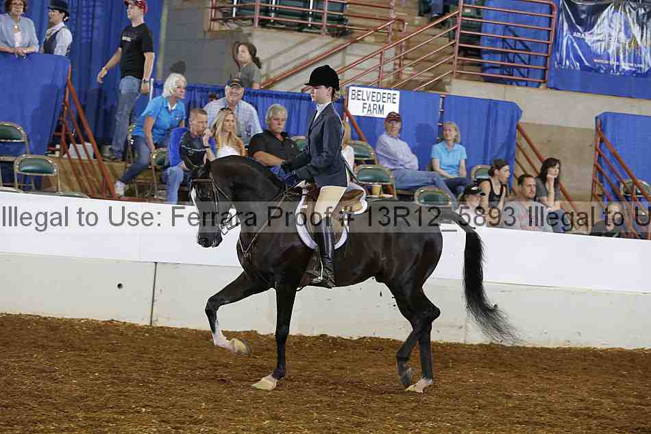 Proof 13r12_5893