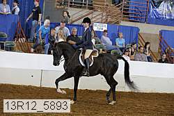 13r12_5893 proof