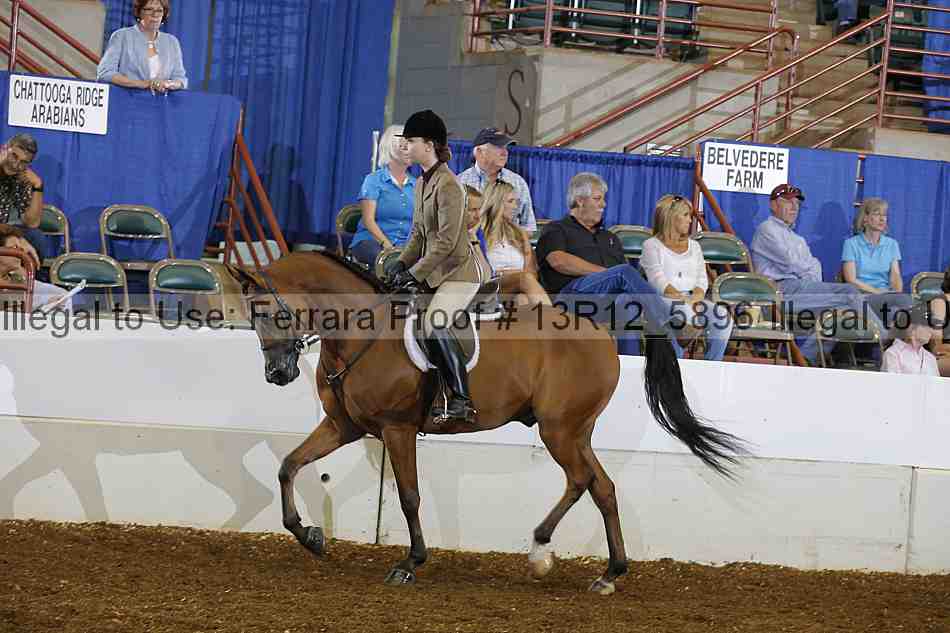 Proof 13r12_5896