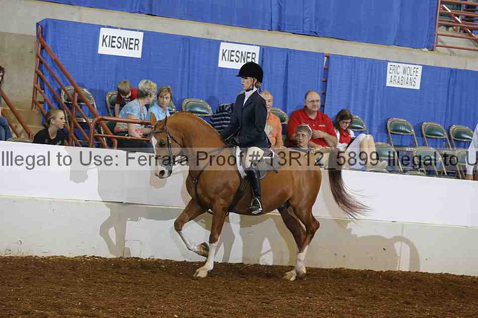 Proof 13r12_5899