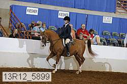 13r12_5899 proof