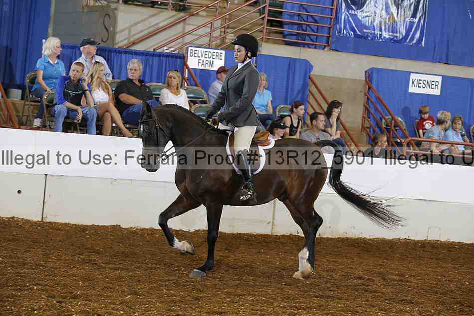 Proof 13r12_5901