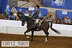 13r12_5901 proof