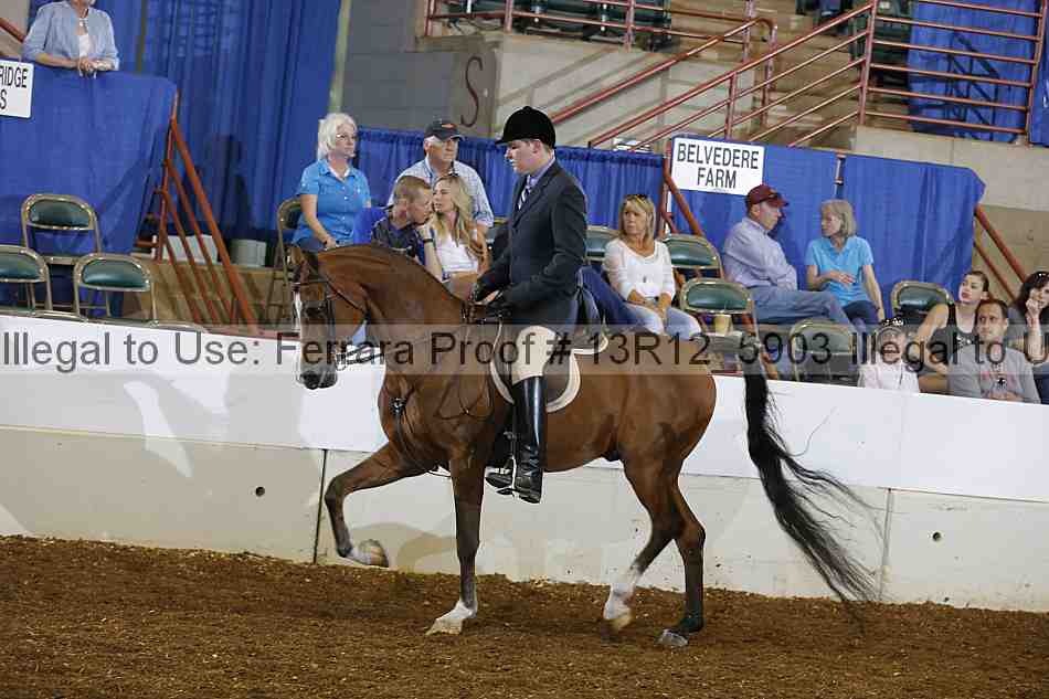 Proof 13r12_5903