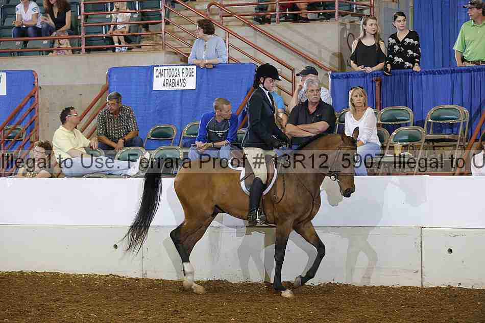 Proof 13r12_5907