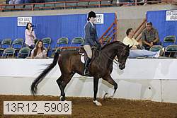 13r12_5908 proof