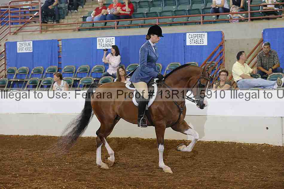 Proof 13r12_5910