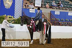 13r12_5913 proof