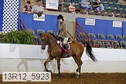 13r12_5923 proof