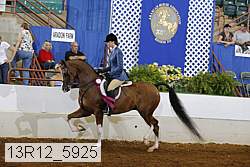 13r12_5925 proof