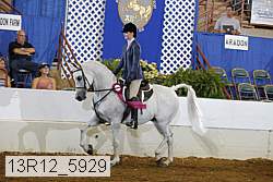 13r12_5929 proof