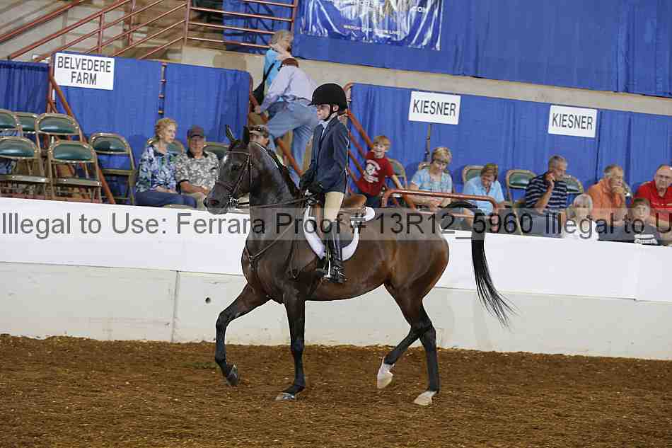 Proof 13r12_5960