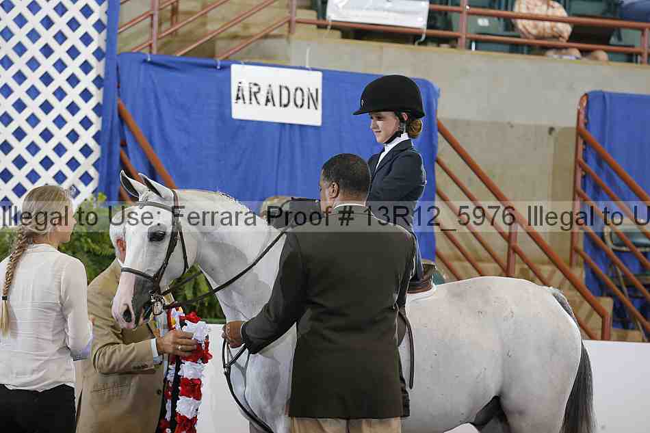 Proof 13r12_5976