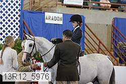 13r12_5976 proof