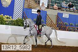 13r12_5982 proof