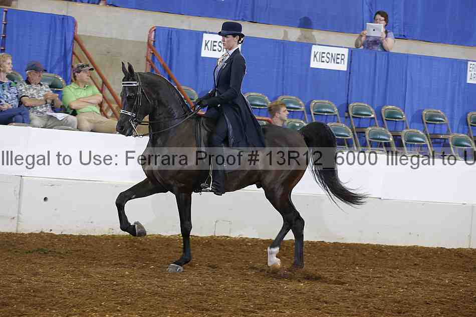 Proof 13r12_6000